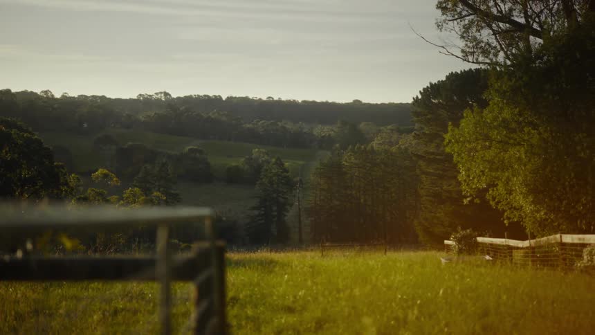Field bordered by wooded hills under golden lateafternoon light