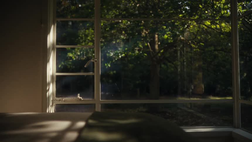 Bright morning sunlight streams through a large multipaned window of a bedroom casting sharp shadows across a bed while illuminating dense green trees and foliage in the garden outside