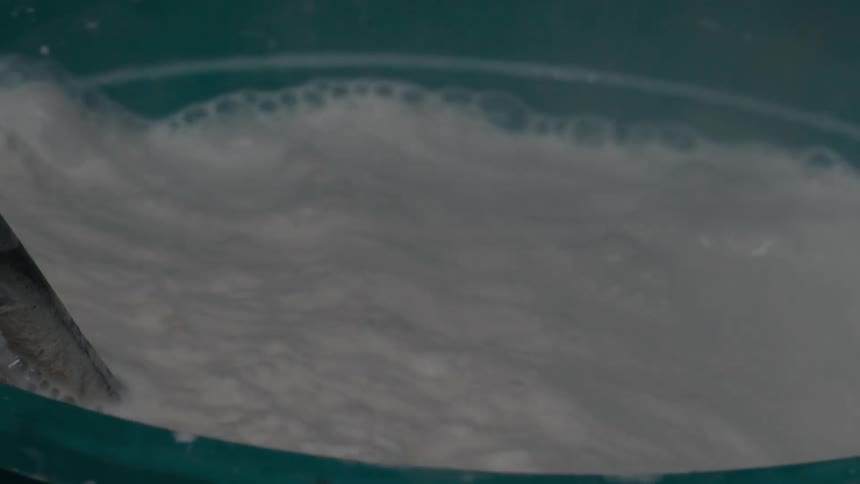Perforated metal part dipped in foamy liquid with tongs