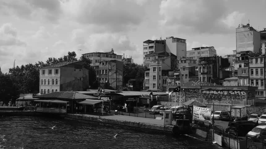 Birds fly around the harbor