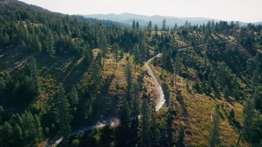 An aerial view shows a person riding a motorcycle down a winding dirt road that cuts through a sunlit tree covered hillside