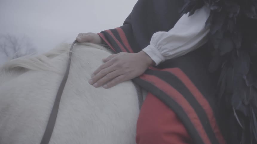 A rider dressed in traditional clothing gently pats the neck of a white horse the closeup shot focuses on the riders hand against the horses coat amidst a misty muted background