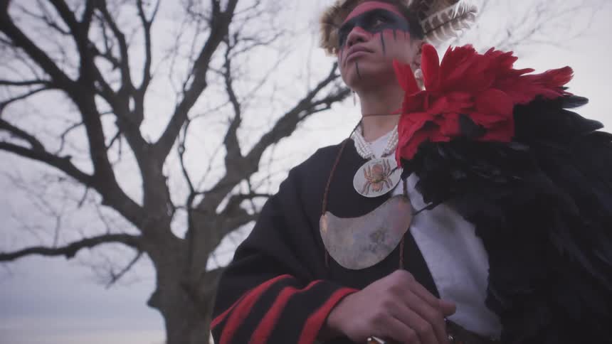 A native american person in traditional regalia stands against bare trees under a gray sky