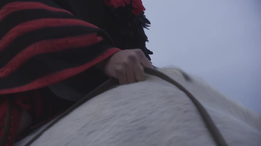 Closeup of a rider holding the reins while seated on a white horse at dusk