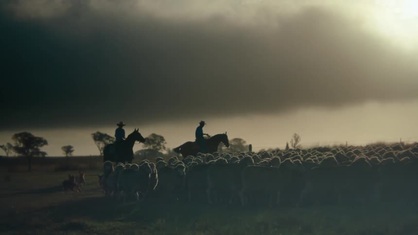 Two cowboys and a dog are herding sheep as a storm moves overhead