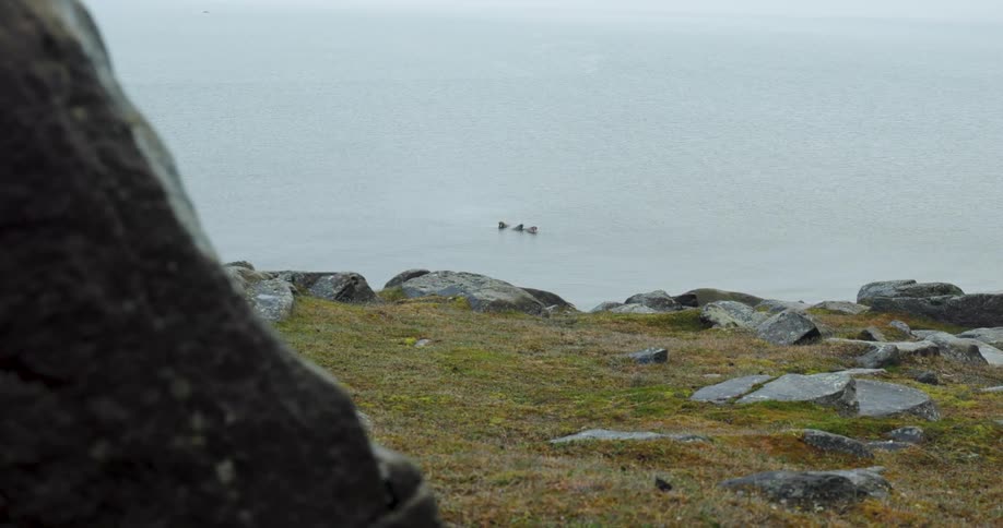 Rocks on a calm grey body of water as seen from a rocky shoreline under an overcast sky