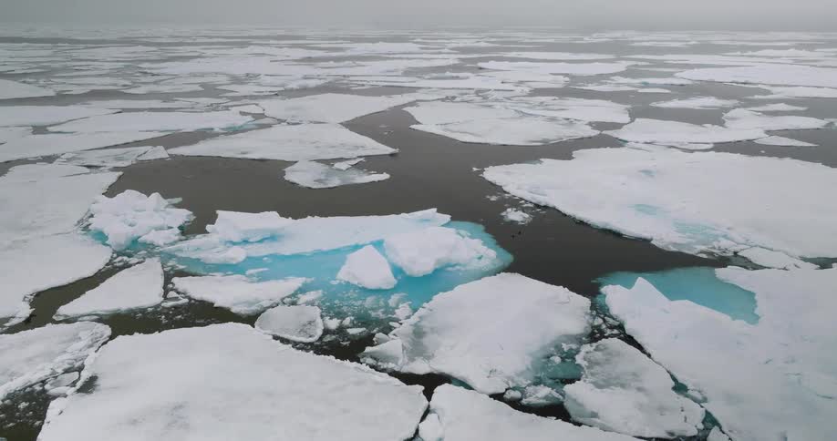 A lake with pieces of ice floating on the surface on a winter day
