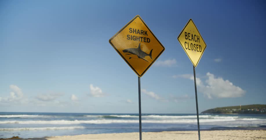 Warning signs indicate shark sighting and beach closure along the shoreline