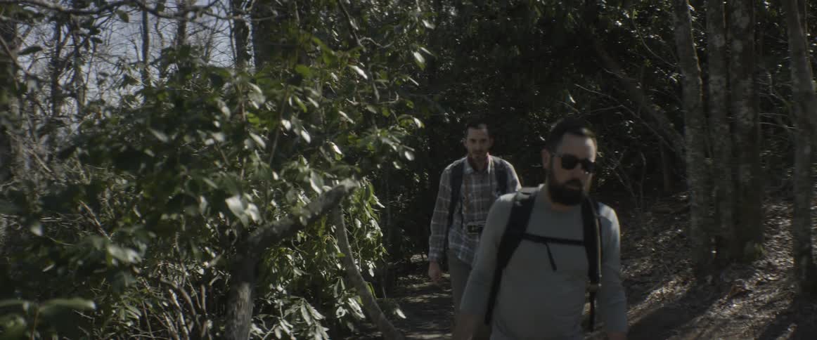 Men hike in the woods with backpacks