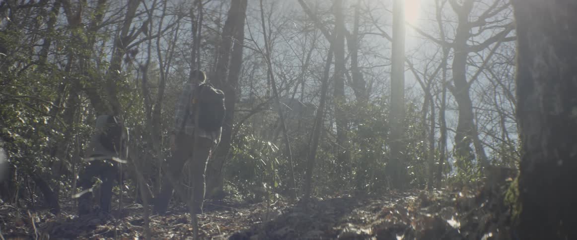 Men hike through the woods