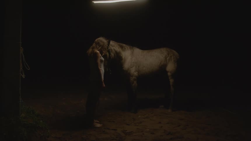 In a dark setting a woman stands directly in front of a white horse with her head resting against its forehead under a single bright light