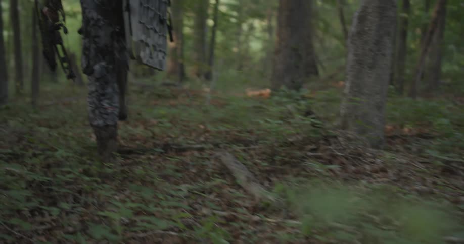 A hunter walks through the woods carrying equipment
