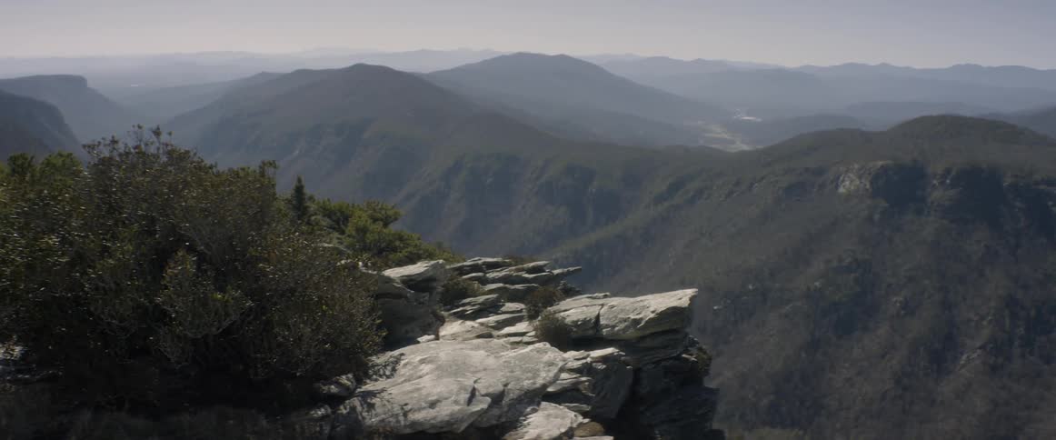 Plants and shrubs sway in the breeze atop a mountain
