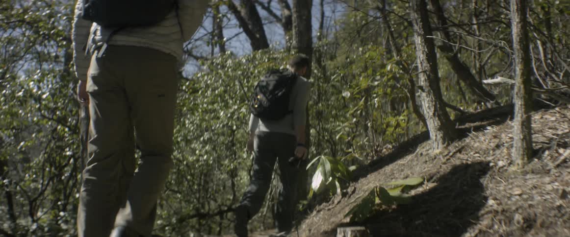 Two men are hiking on a dirt path in a forest