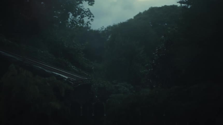 A view of a forest and building roof with some trees