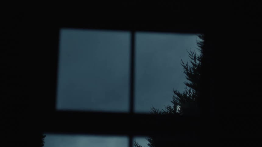 Window panes framing a cloudy sky and a tree silhouette