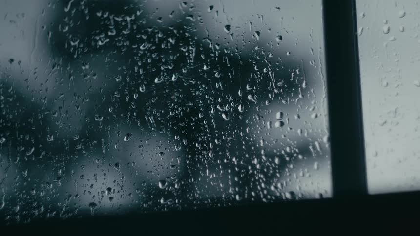 Raindrops on a window with silhouetted tree behind in evening light