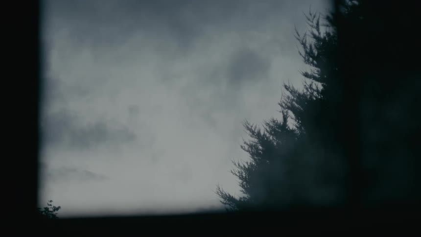 Tree canopy silhouetted against a cloudy sky seen through a dark opening