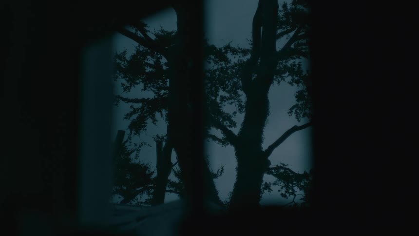 Trees are seen through a dark opening with bluish light in the background