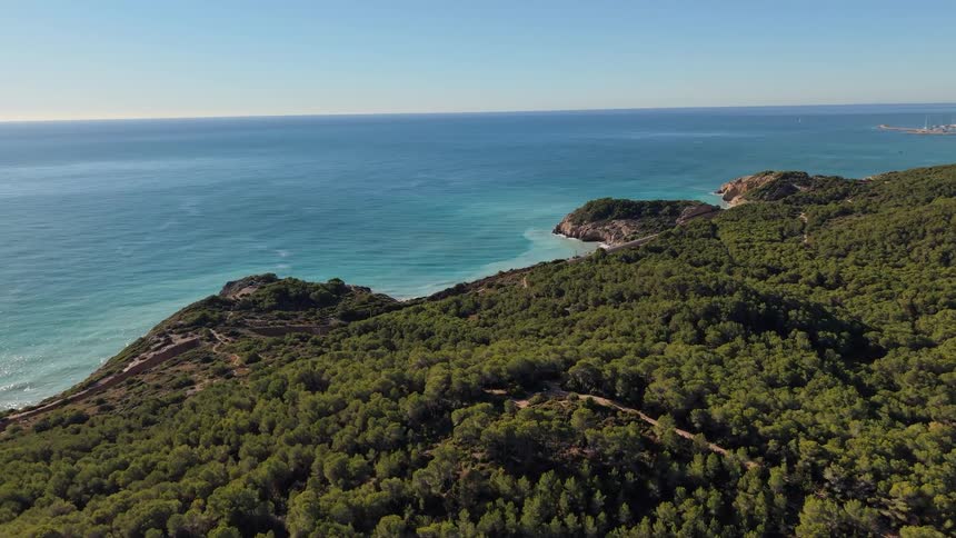 The large forest is on the coast