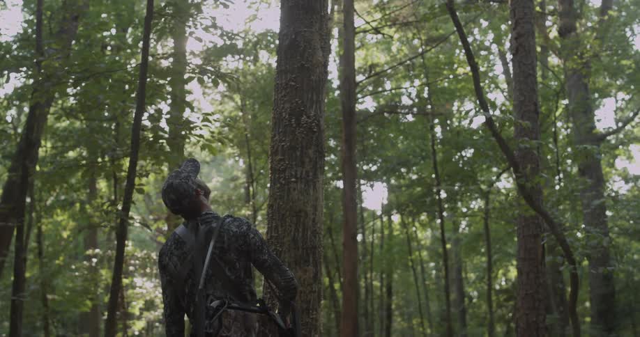 A hunter is looking up at the top of a tree as he stands in a forest