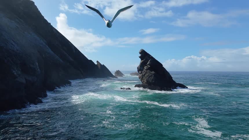 A bird flies low over waves as they crass into cliffs