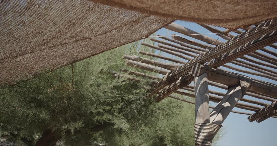 A wooden pergola with a woven shade cloth stands against a backdrop of green trees and a clear sky