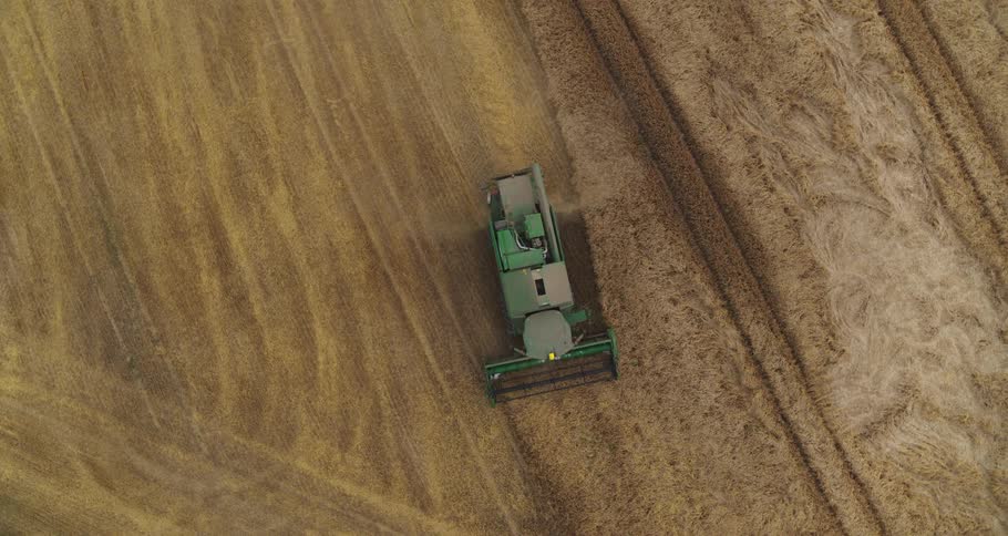 Agricultural harvester seen from above moving through a grain field