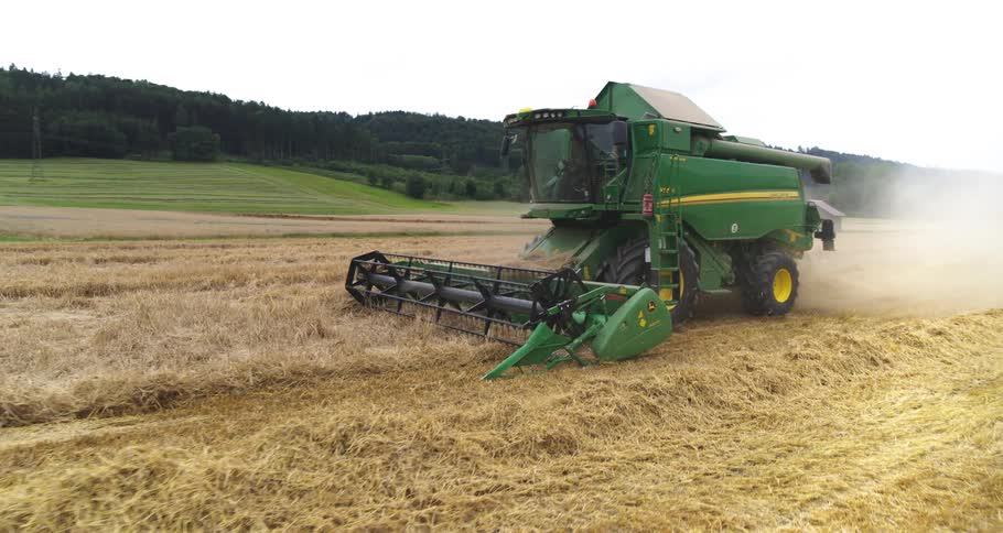 A green combine harvester moves through a large golden field while cutting and gathering wheat