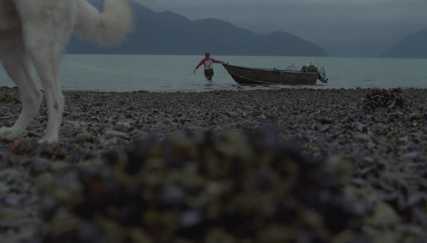 A dog sniffs and eats small crabs on a rocky coastal beach beside the ocean shoreline