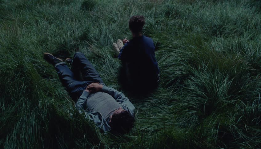 Couple lying side by side rises from the tall grass seen from above