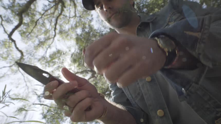 A man wearing a denim jacket and a baseball cap uses a pocket knife to trim a sprig of rosemary from a plant the scene is shot from a low angle looking up through the trees with bright sunlight creating a prominent lens flare