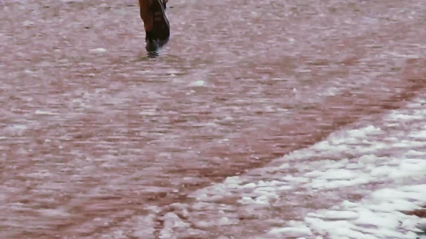 A view from behind shows a person wearing a pink hat as they run along a snow covered path in a city during the day
