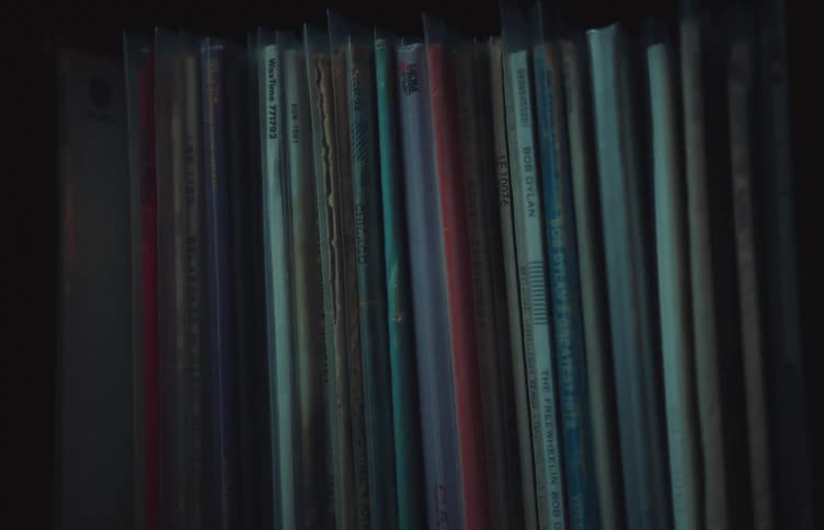 Vinyl records arranged vertically on a shelf