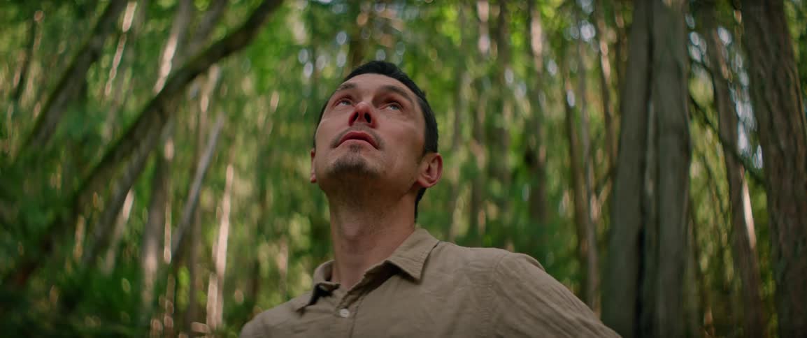 A man looks up while standing in a forest