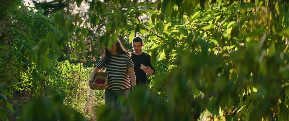 A woman carrying a basket of red berries and a man walk together through a sunlit garden path bordered by leafy trees and vibrant plants during a bright day