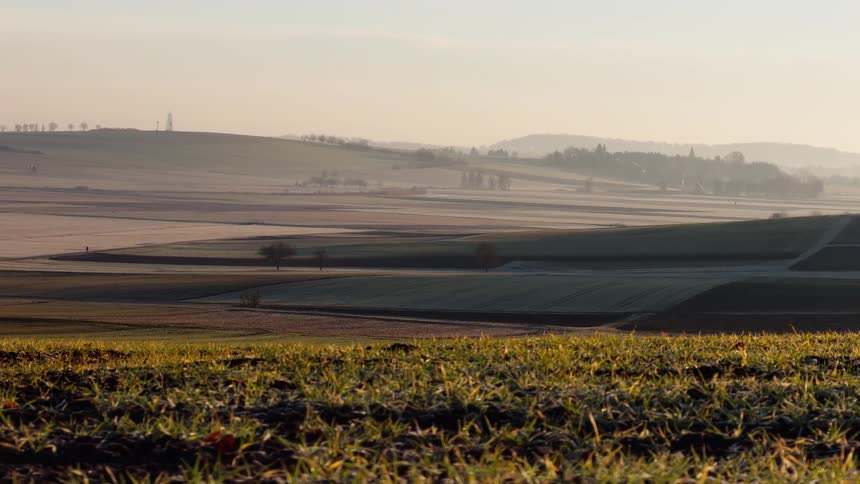 Rolling farmland under light mist in a peaceful rural landscape