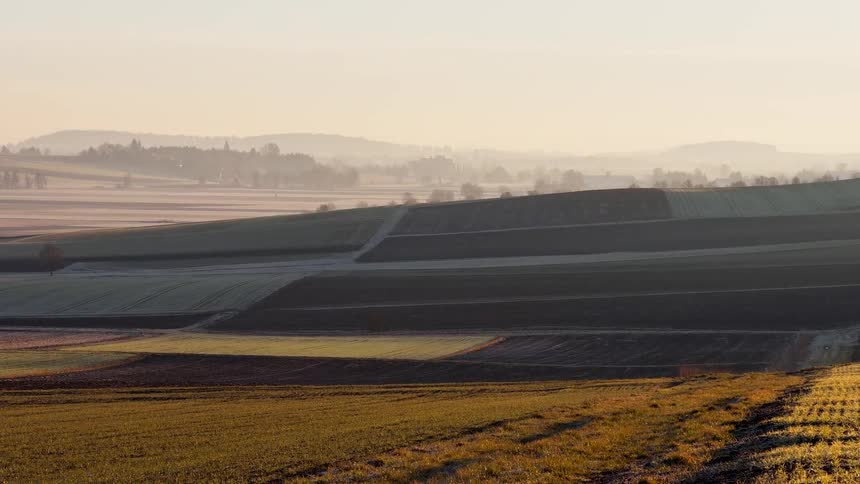 Large open field at dawn