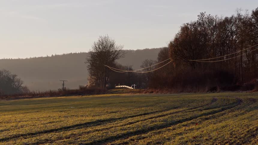 The car drives past the long green field