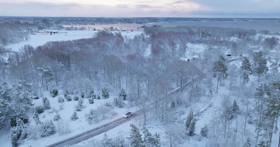 An aerial view shows a white car as it drives along a road through a forest covered in white snow near a frozen lake during the day