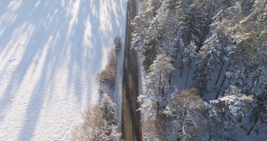 An aerial view of a forest covered in snow