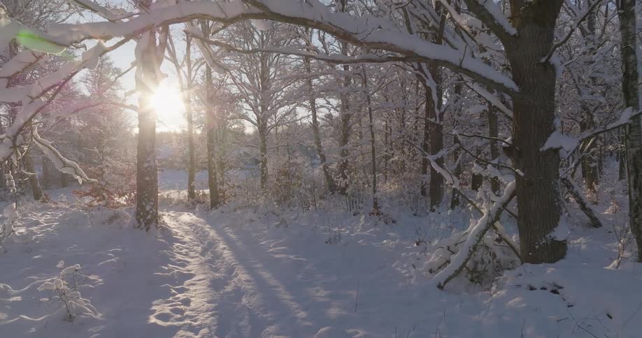 A trail through a forest has deep snow