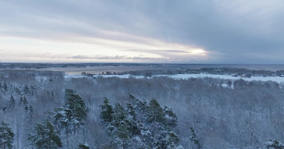 A vast snow covered forest and frozen lake stretch beneath a dramatic cloudy winter sky