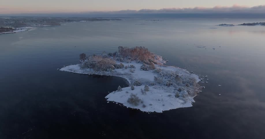 Trees on a snow covered island off the coast