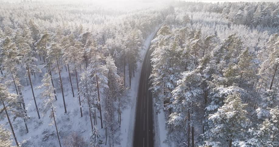 A highway cuts through a forest covered in snow