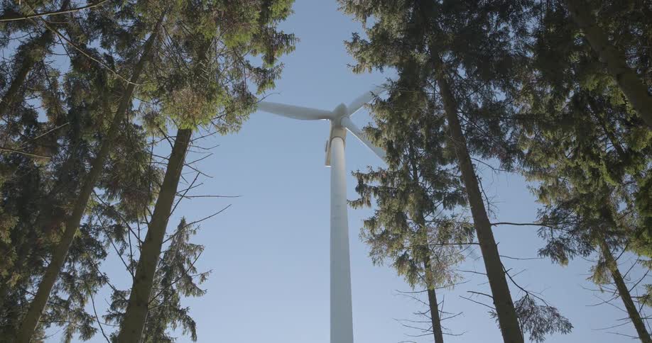Wind turbine on the edge of a forest