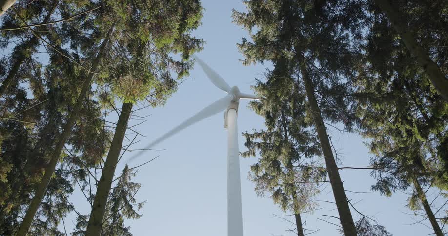 A view from the ground looking up shows a white wind turbine as it spins against a clear blue sky while framed by many tall green trees in a forest