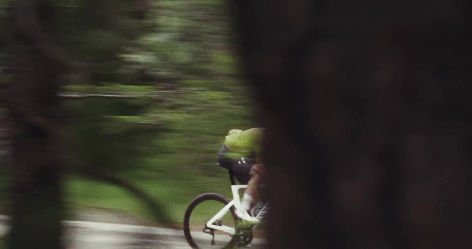 Man riding a bicycle on a road through the forest