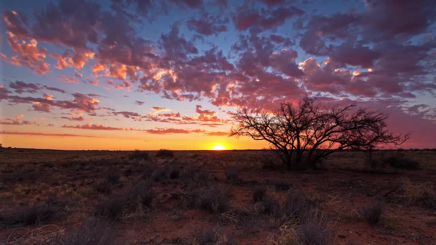 Sun on the horizon at dusk over an arid landscape with an isolated tree and scattered clouds