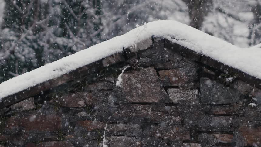 Top of a stone structure covered with snow with falling flakes in front of background vegetation